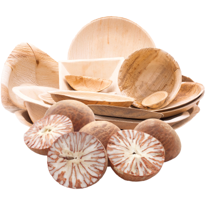 Arecanut Palm Leaf Plates