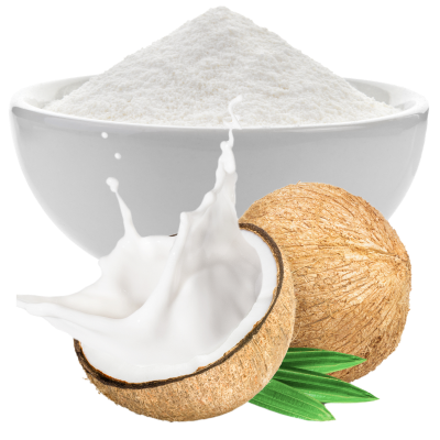 Coconut Milk Powder